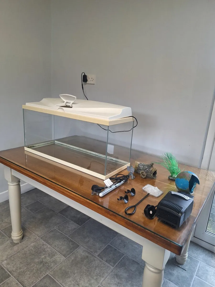 Fish Tank. - Image 3