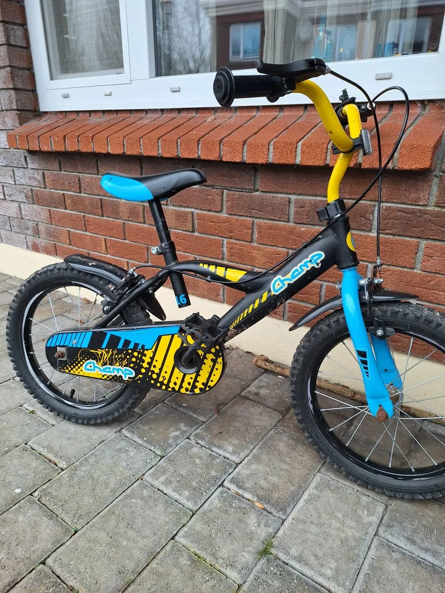 Bike 16 inch - Image 2