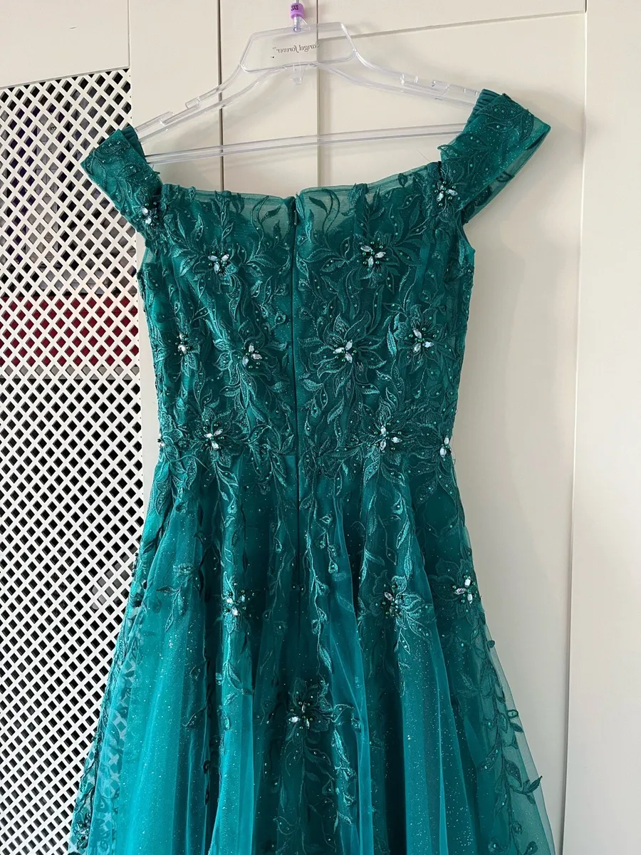 Dani’s Closet TY Ball/ Debs Dress - Image 3