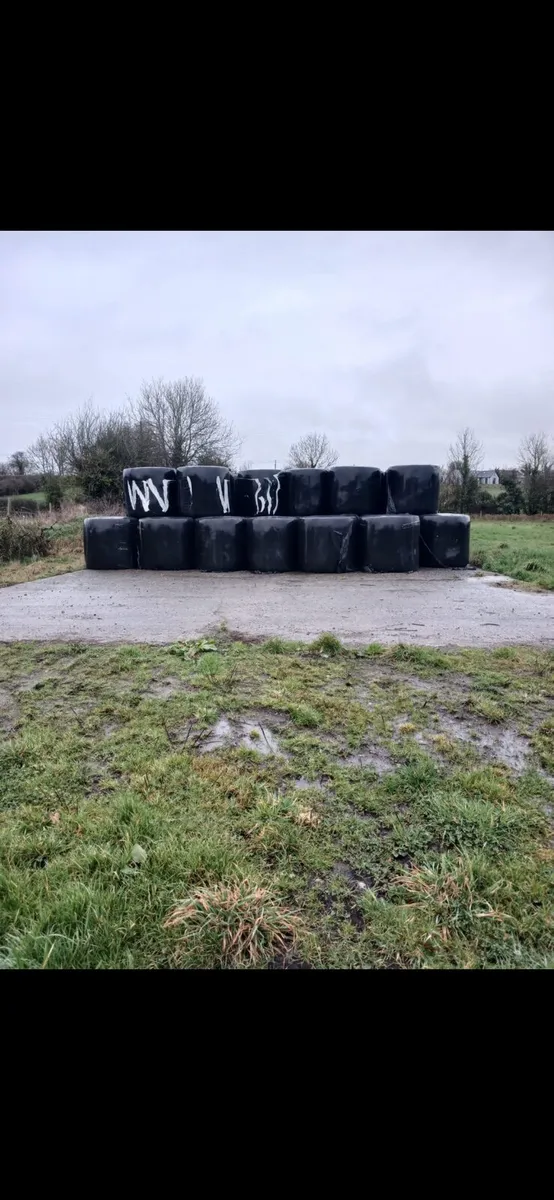 Silage Bales - Image 1