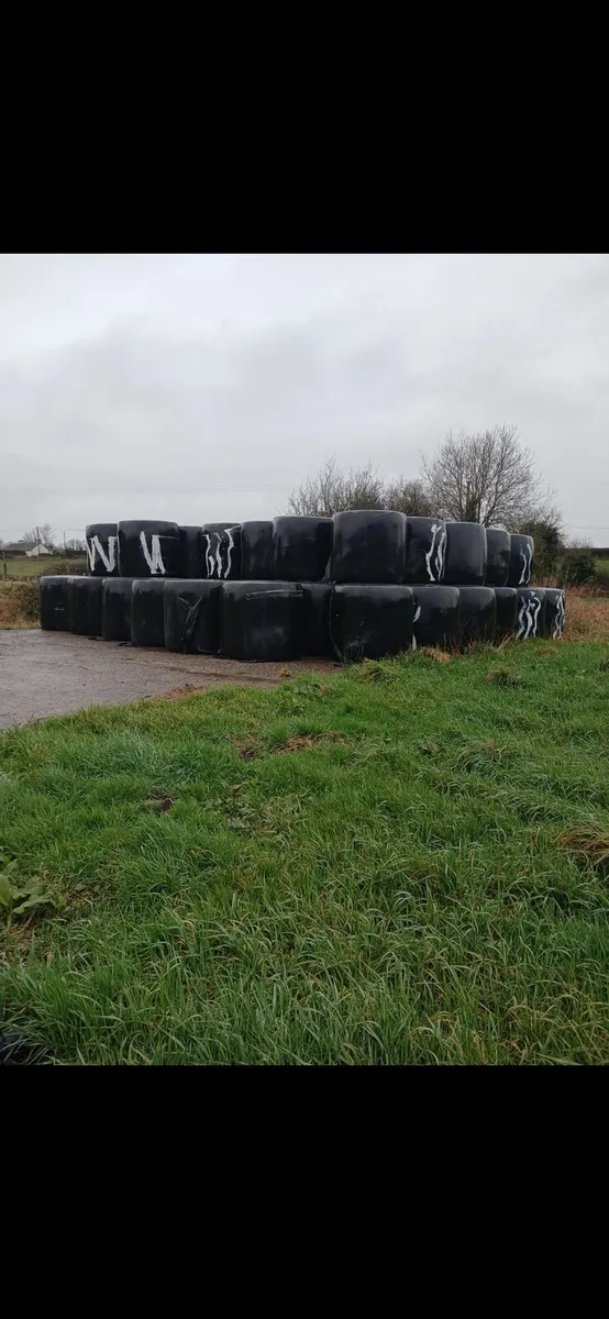 Silage Bales - Image 3