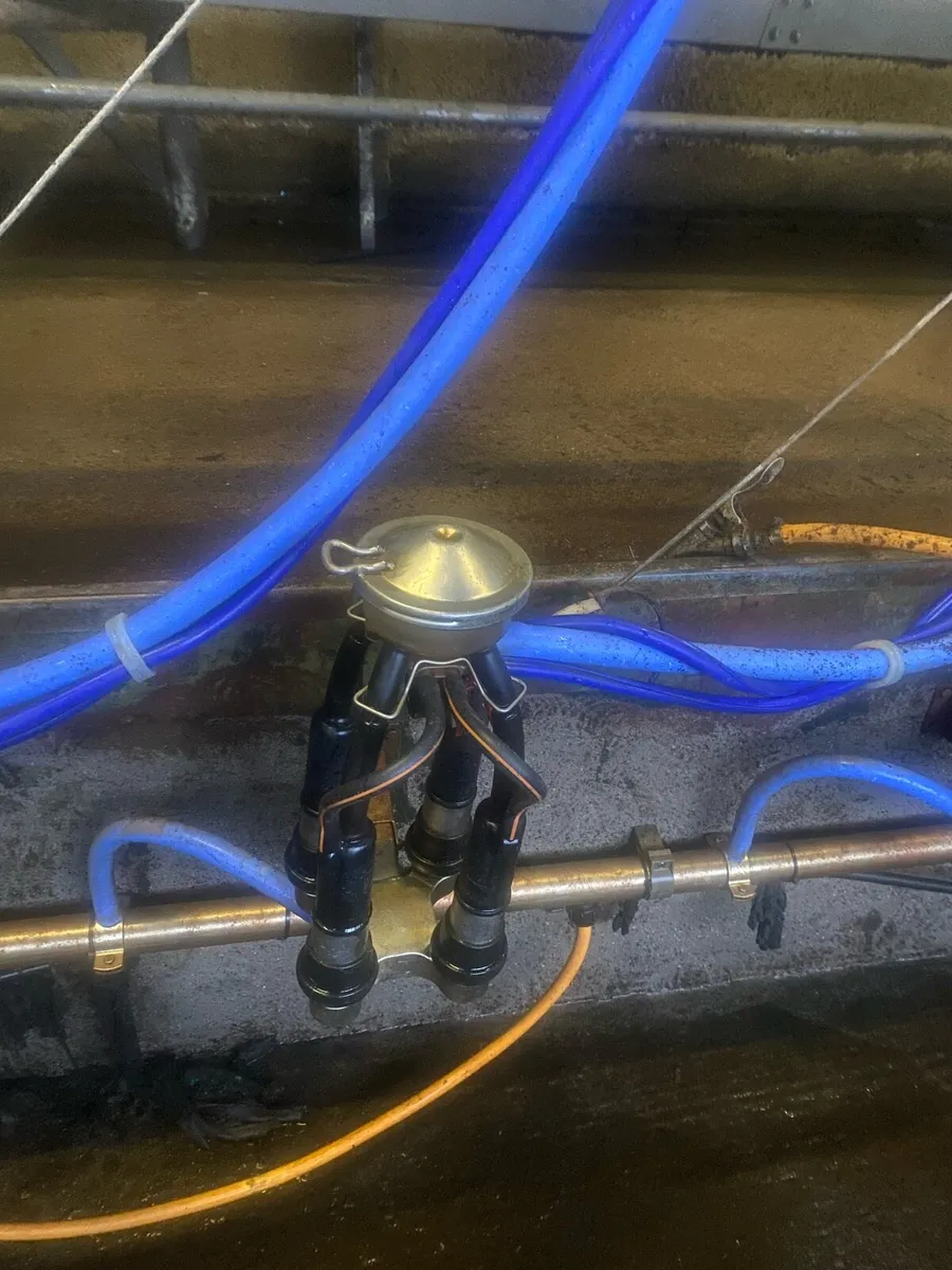 Milking machine - Image 2