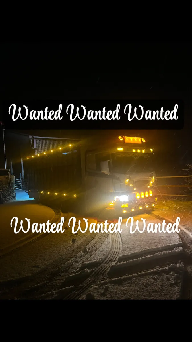 WANTED WANTED WANTED