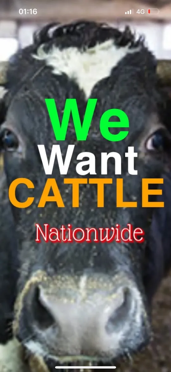 WANTED WANTED WANTED