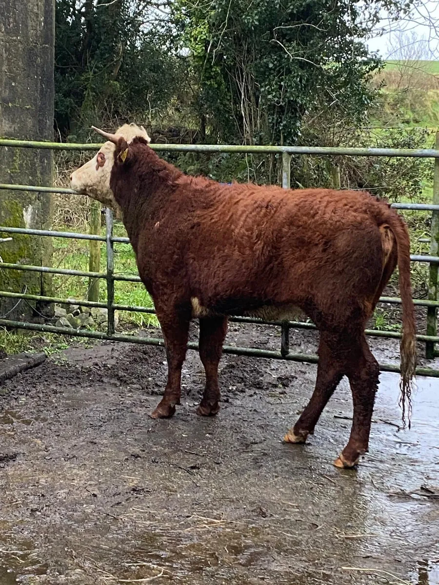 WANTED-NATIONWIDE SERVICE 💶💶