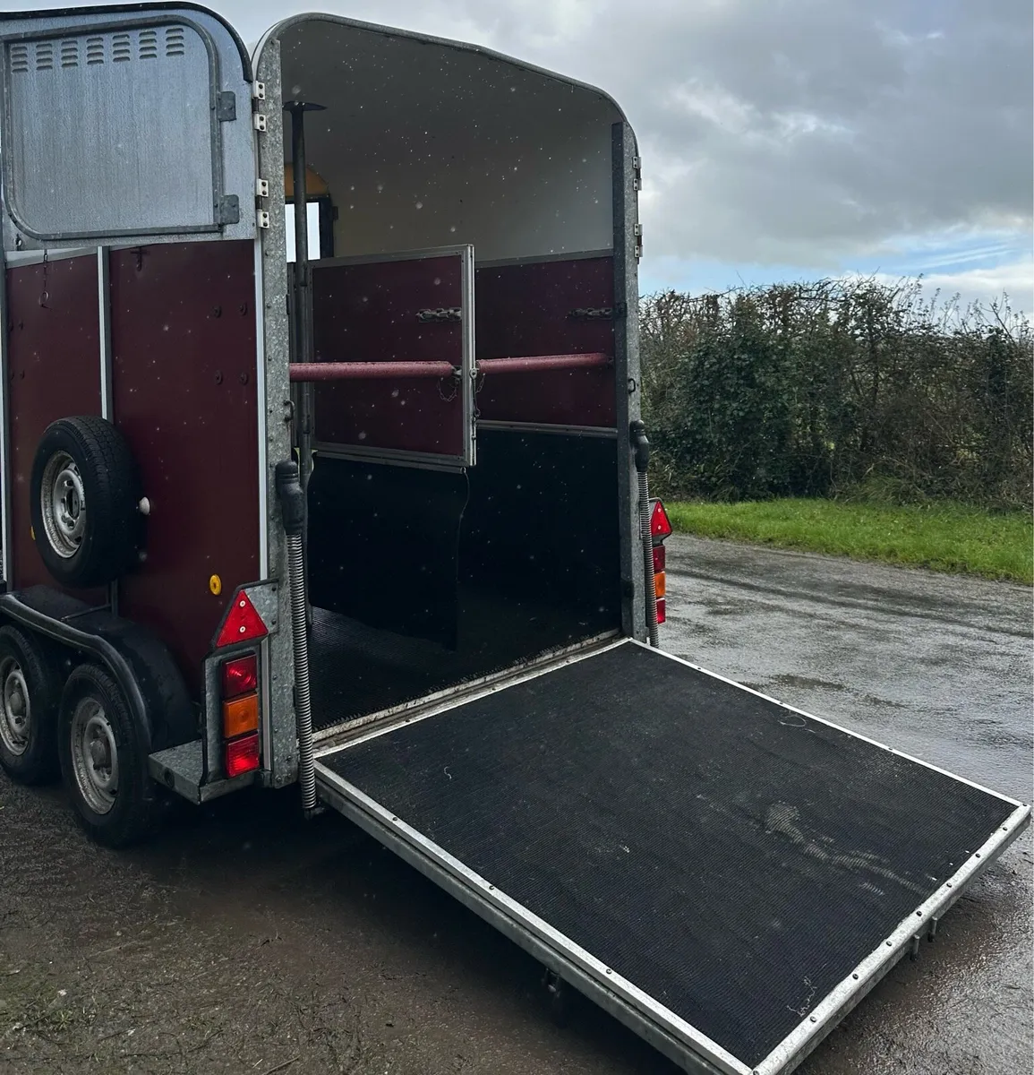 505 Ifor Williams Horse Box - Image 3