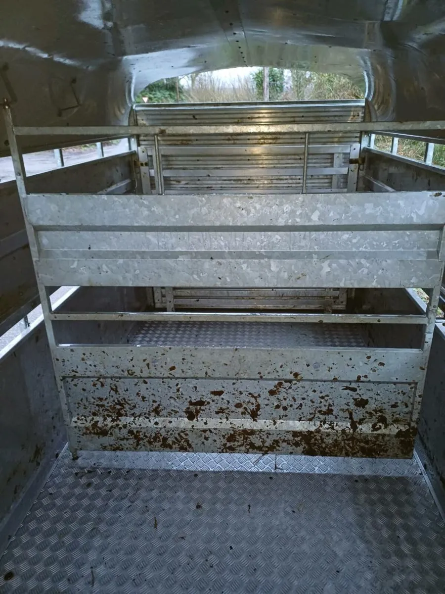 Nugent 12ft cattle trailer ( year 2022) - Image 3