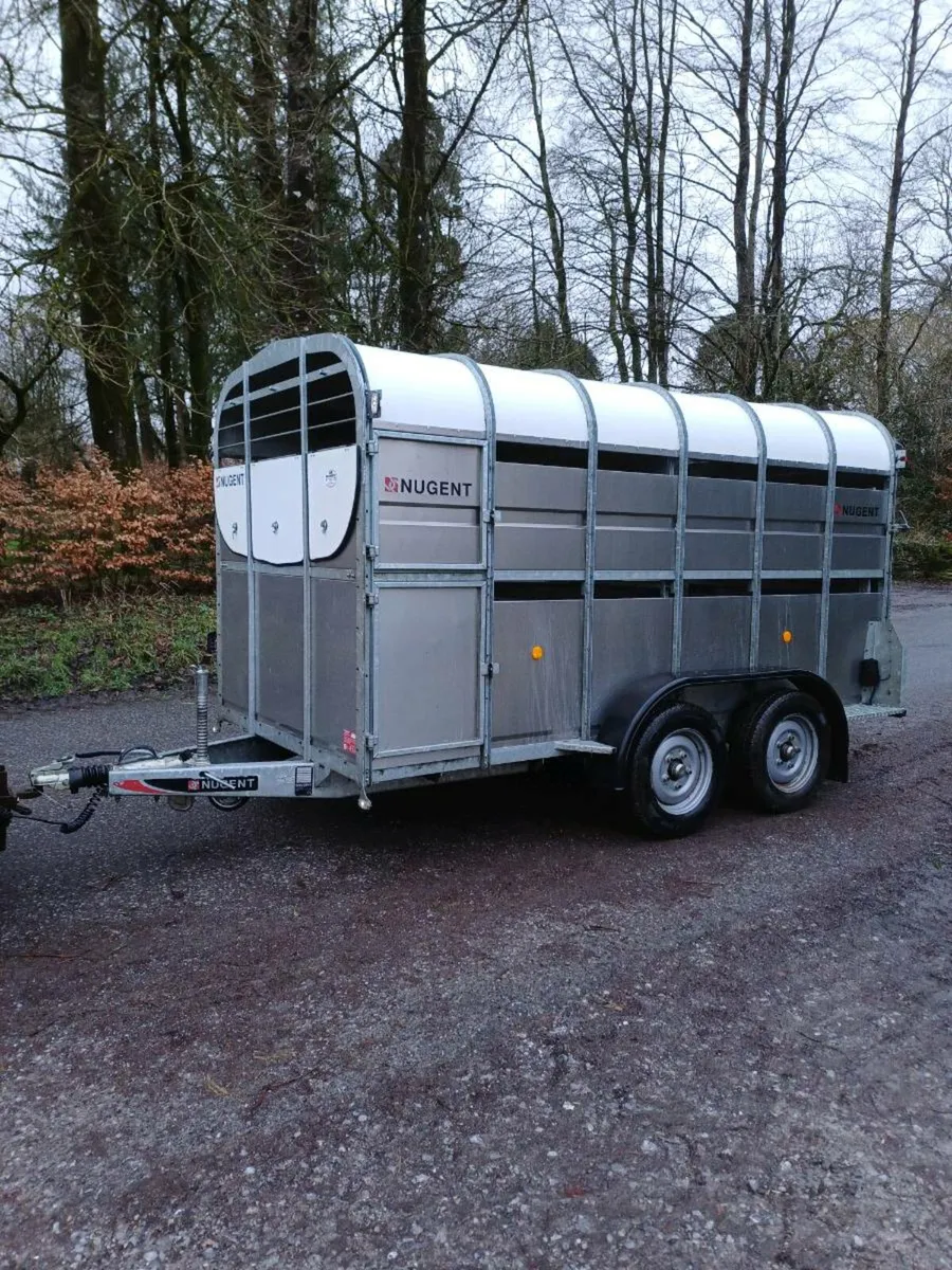 Nugent 12ft cattle trailer ( year 2022) - Image 2