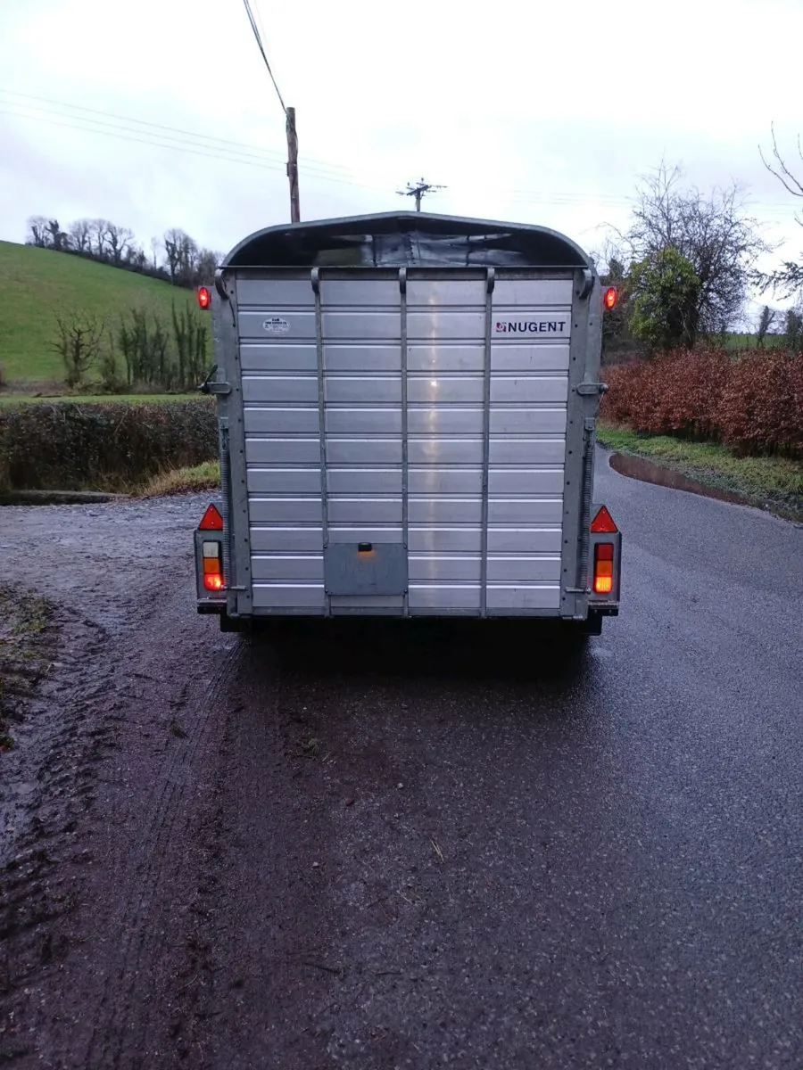 Nugent 12ft cattle trailer ( year 2022) - Image 4