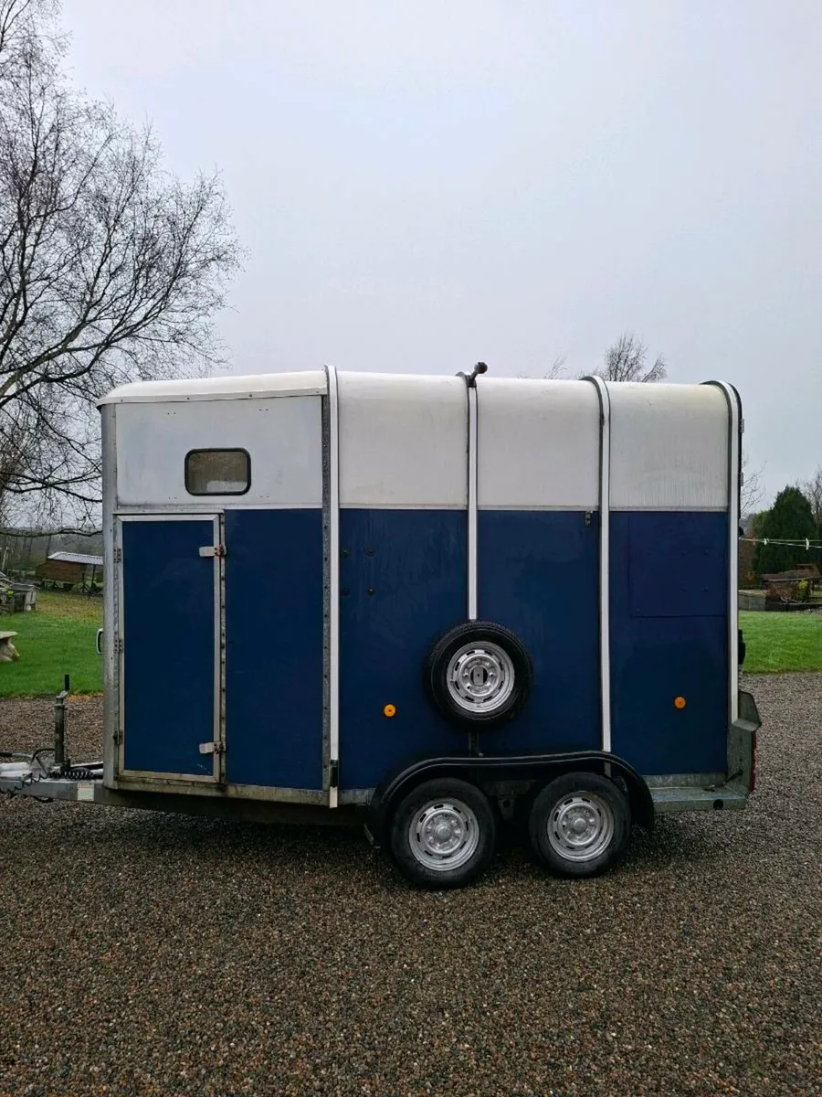 Ifor Williams 510 Double Horsebox - Image 4