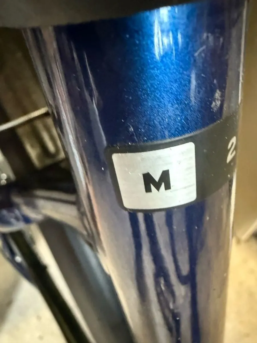 Giant Ease E+ Medium ebike - Image 3