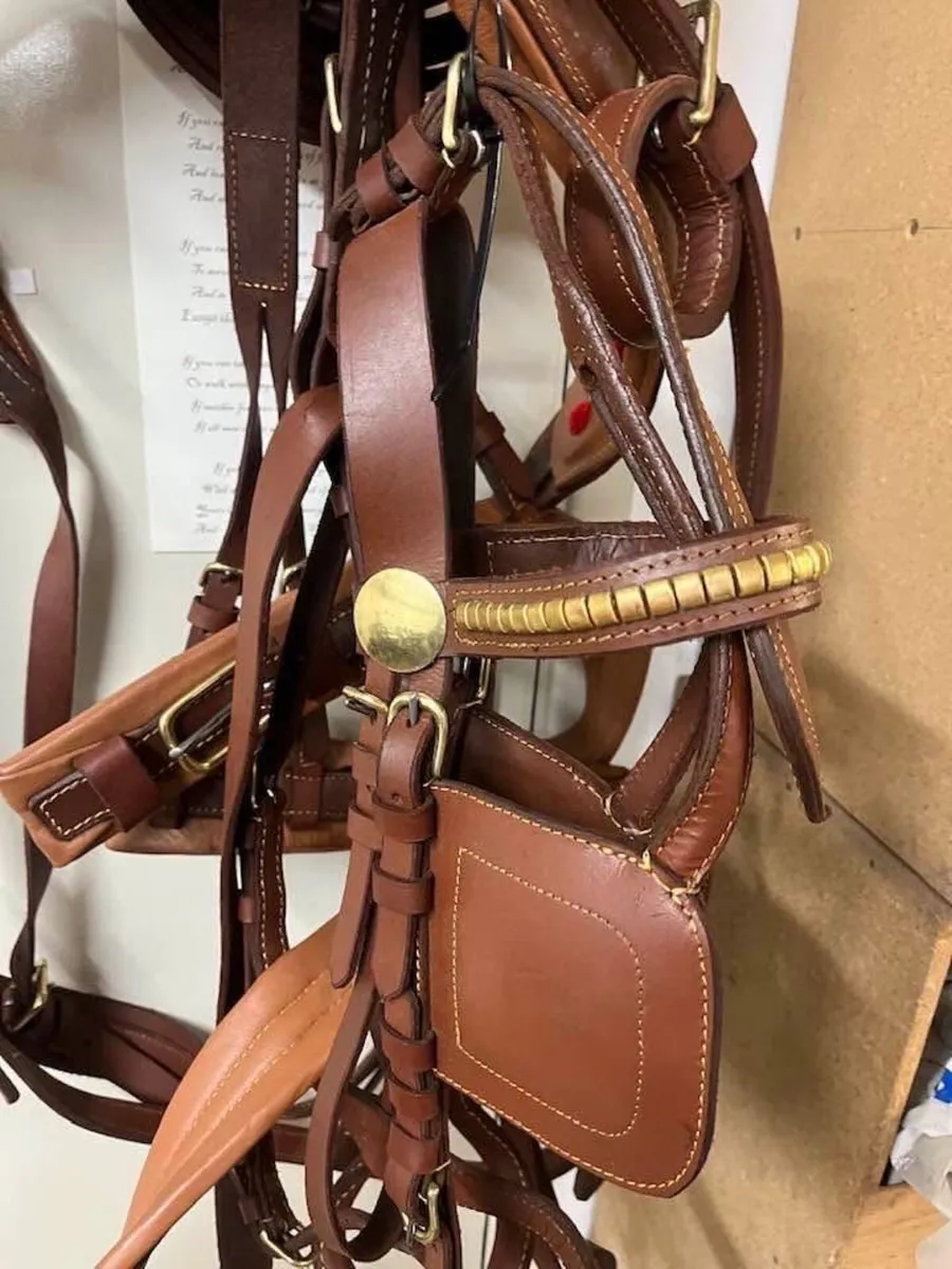 Cob Harness - Image 2