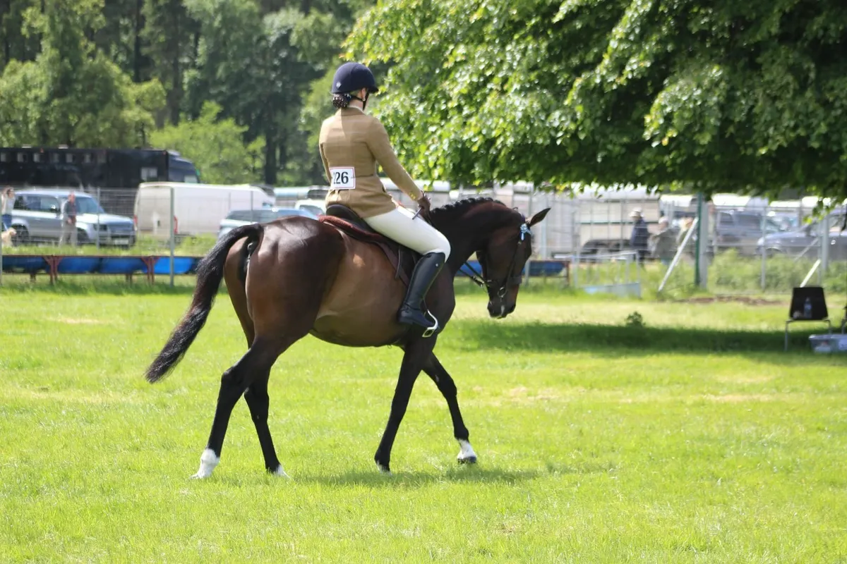 I'm Casual - Image 1