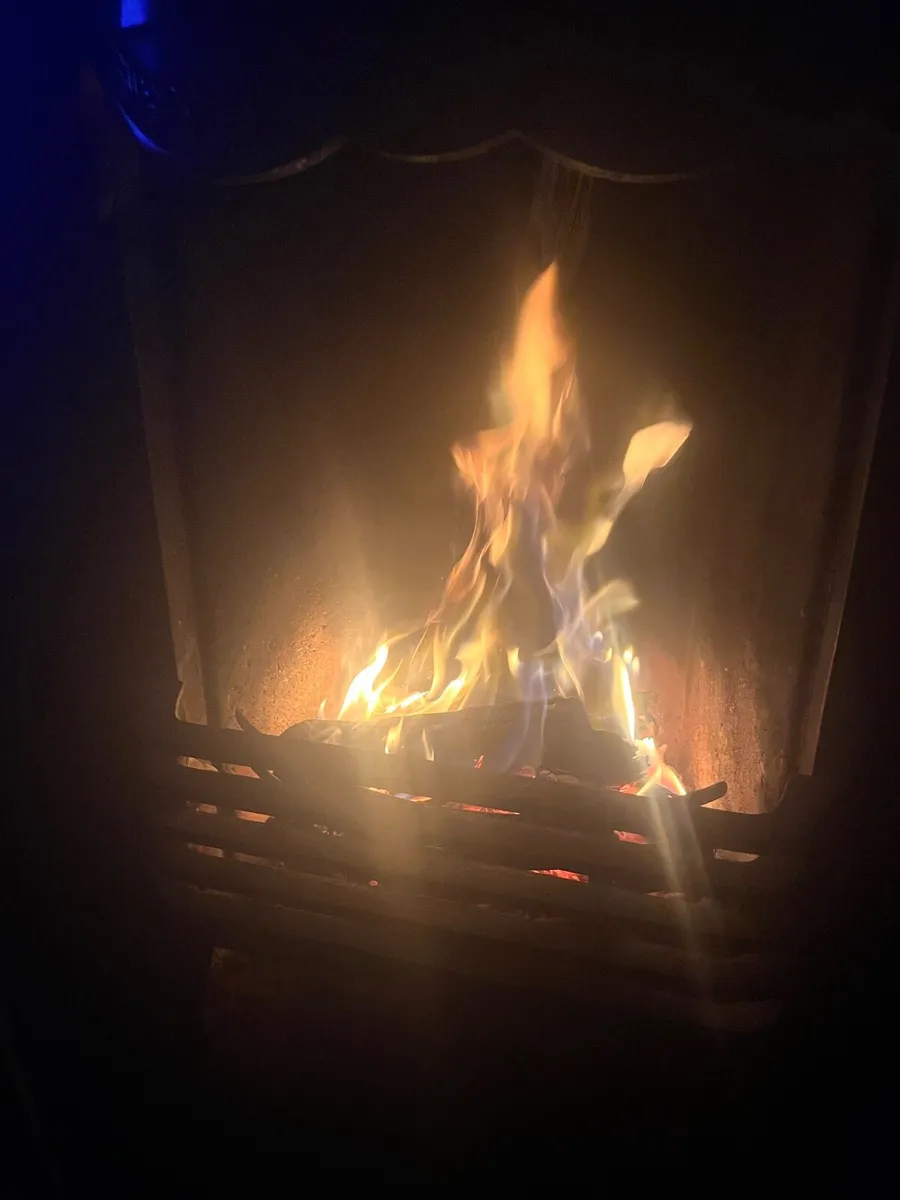 Bags of  t.u.r.f. - Image 2