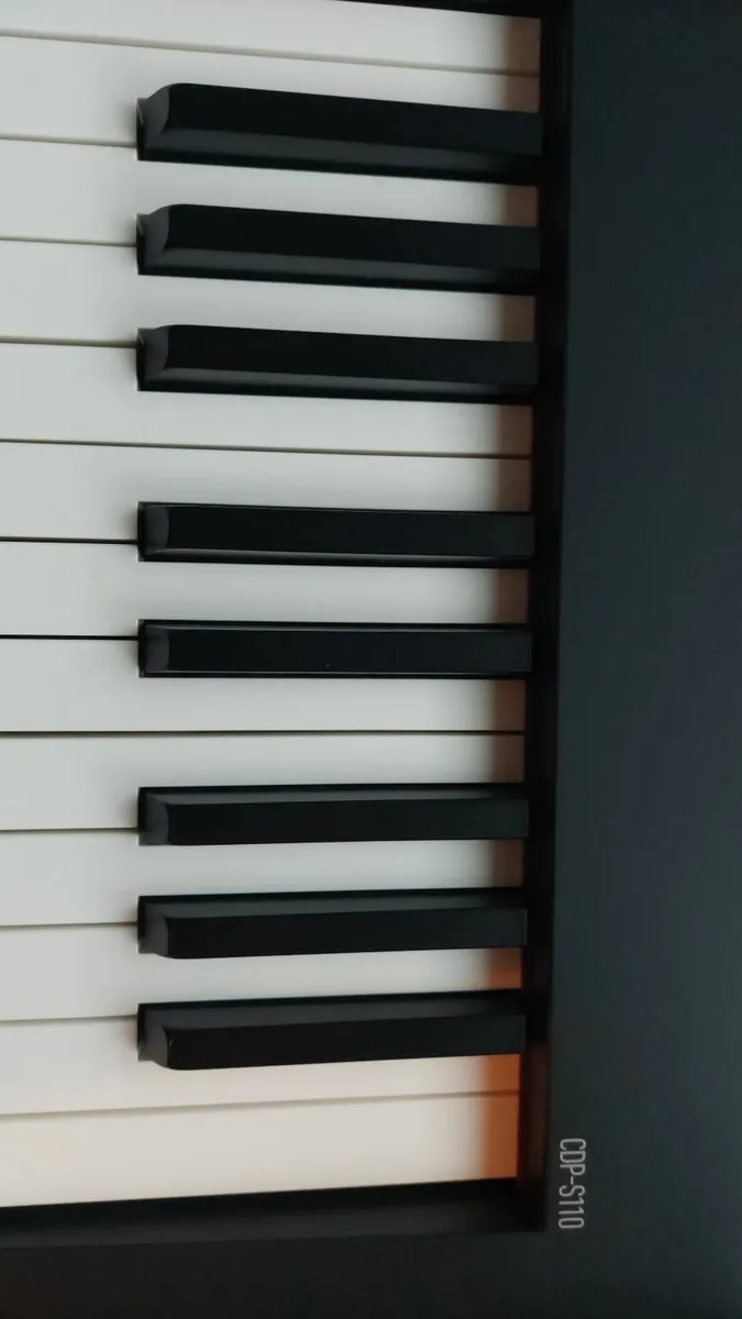 Casio CDP-S100 Keyboard - Image 2