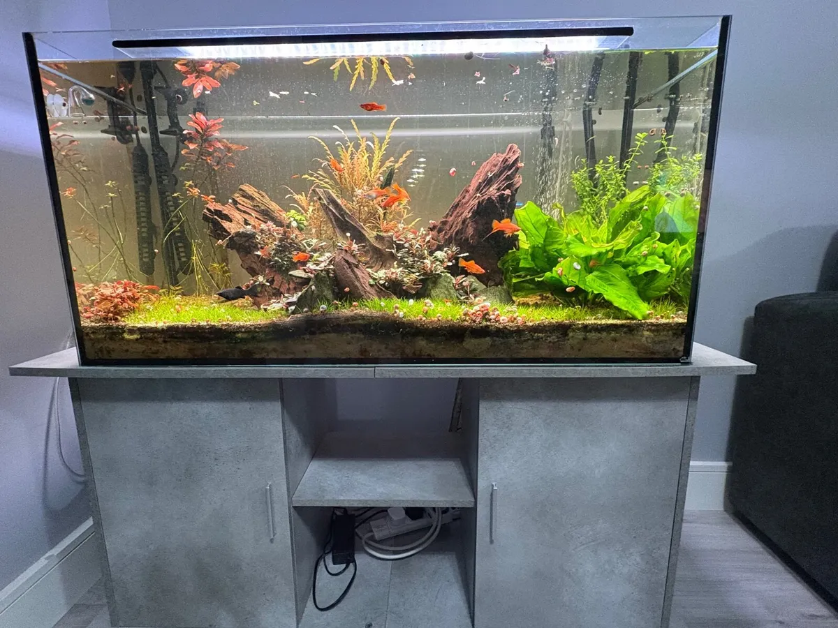 Aquarium 200 L - Image 1
