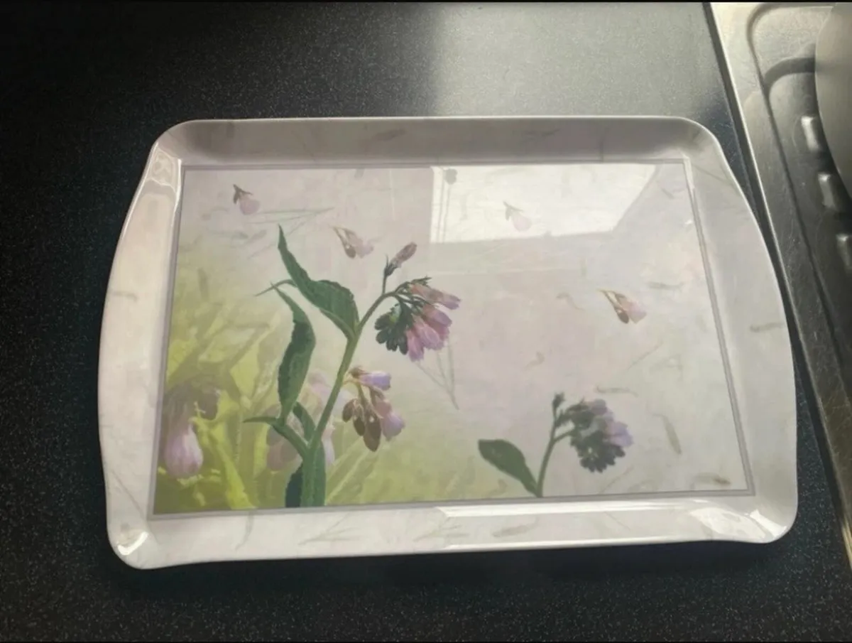 Selection of Trays - Image 1
