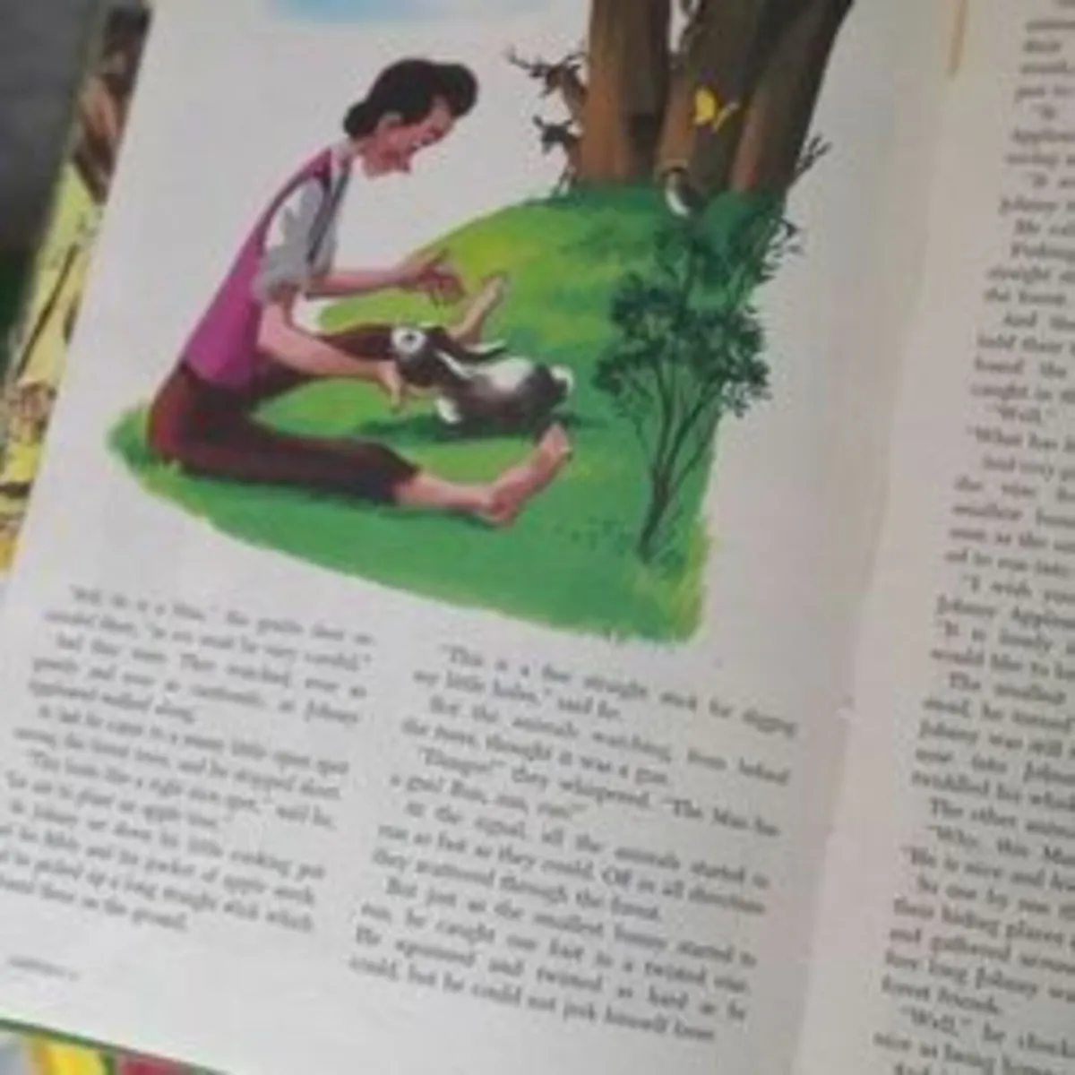 Vintage Walt Disney 4 Book Boxset complete set - Image 4