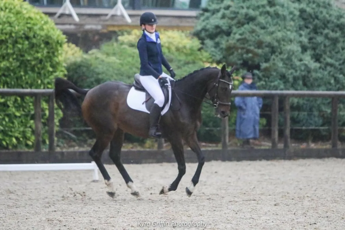 I'm Casual - Image 3