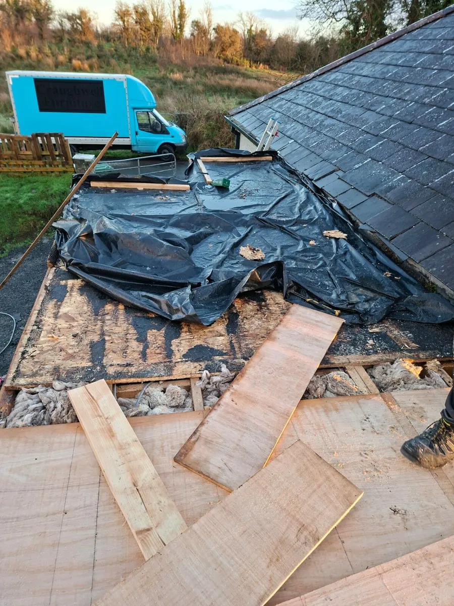 DantX Construction - Image 4