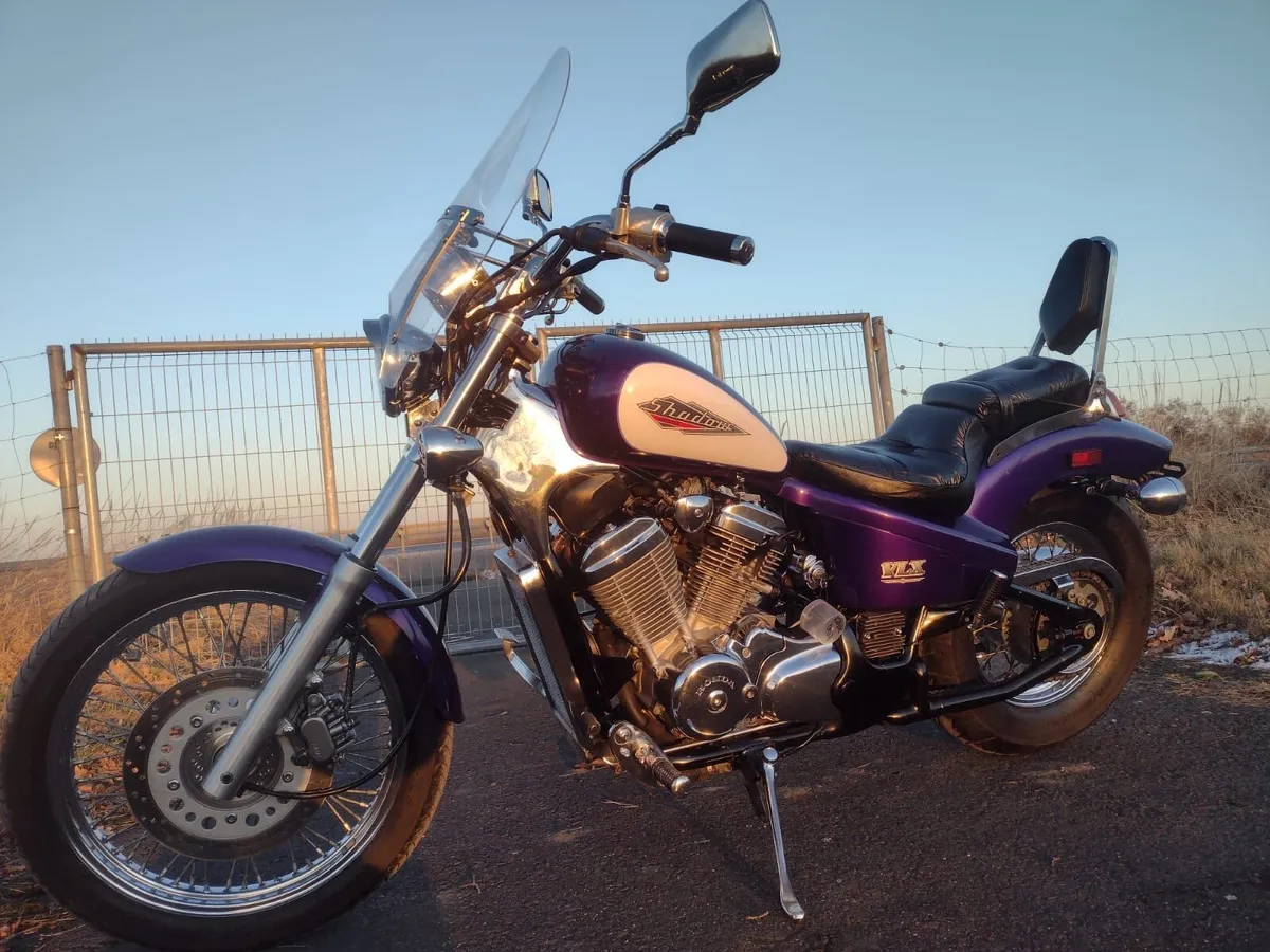 Honda shadow 600 - Mint - Image 2