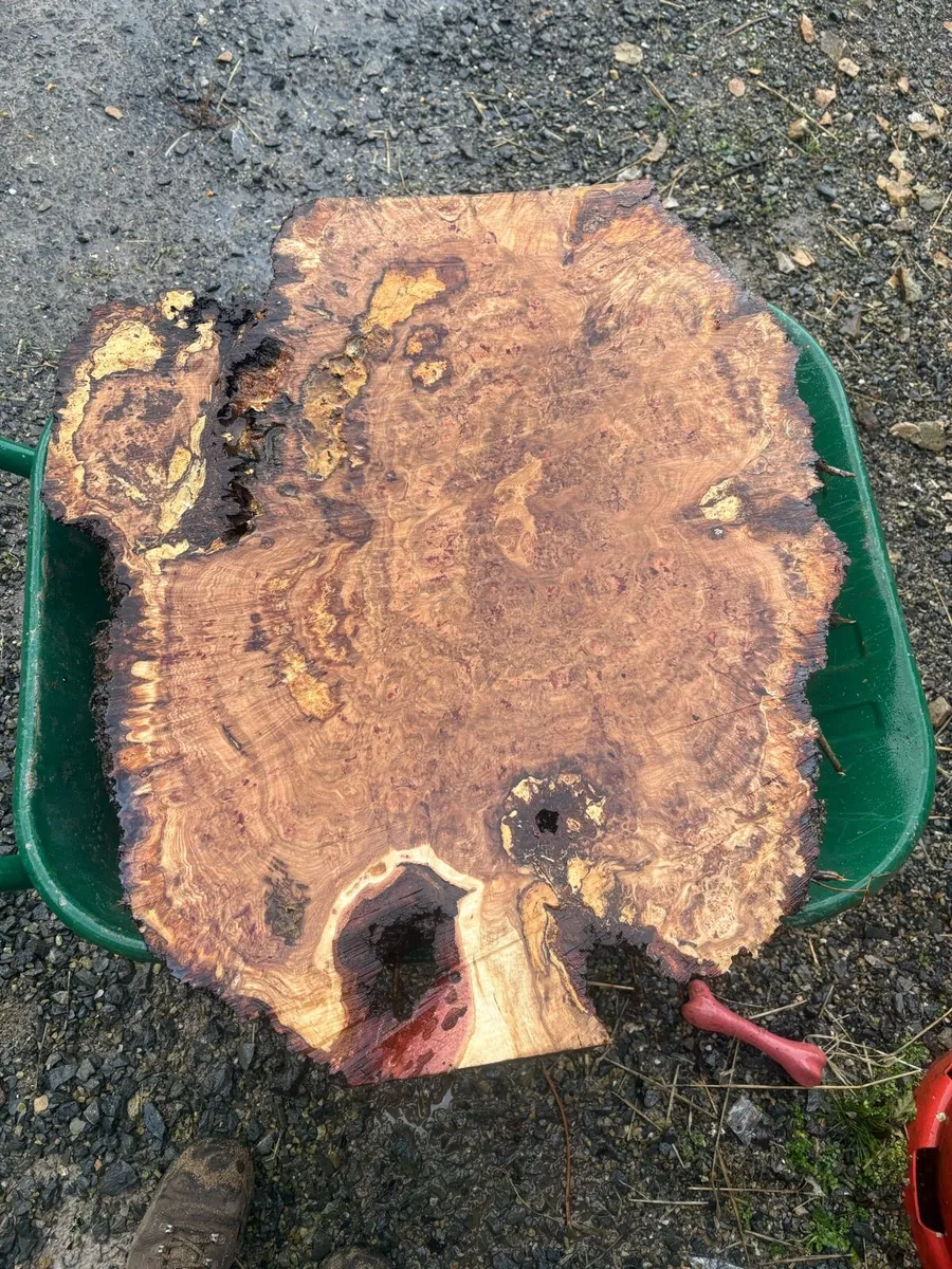 Timber slabs - Image 4