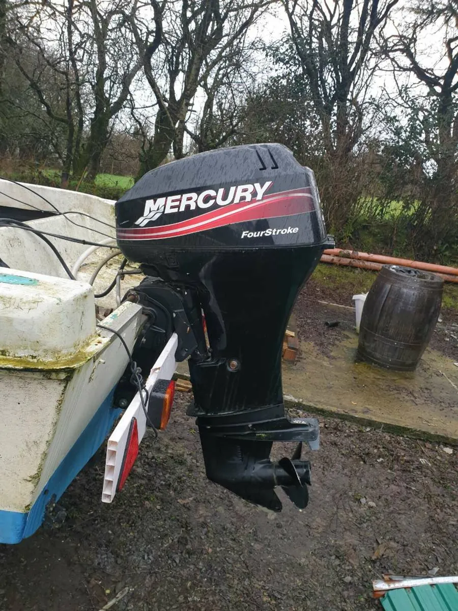 Boat with 25hp mercury - Image 3