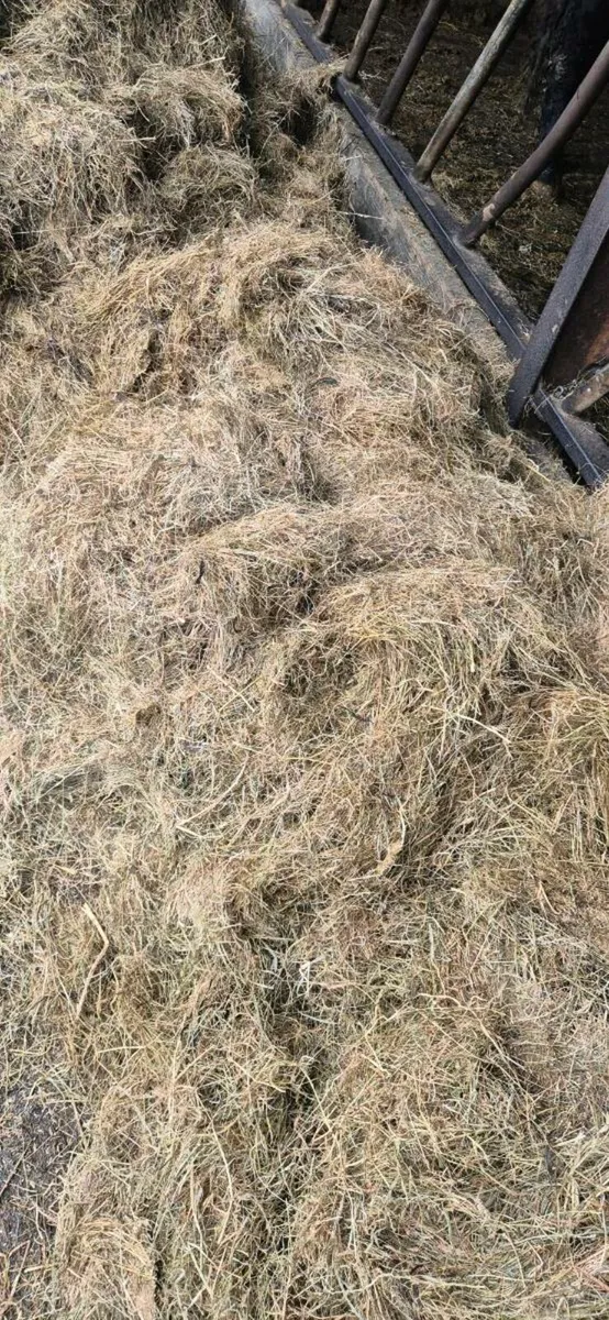 Haylage bales suit horses - Image 3
