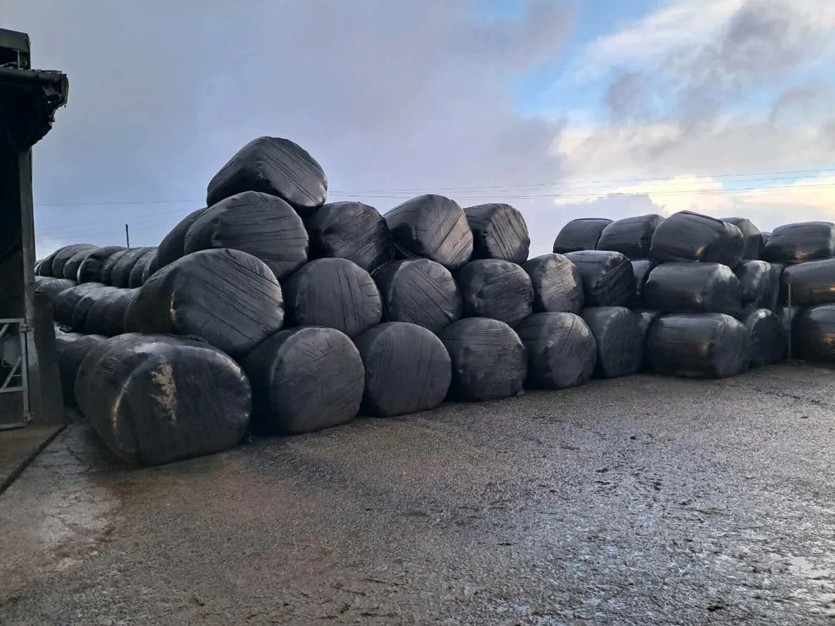 Bales of silage - Image 3