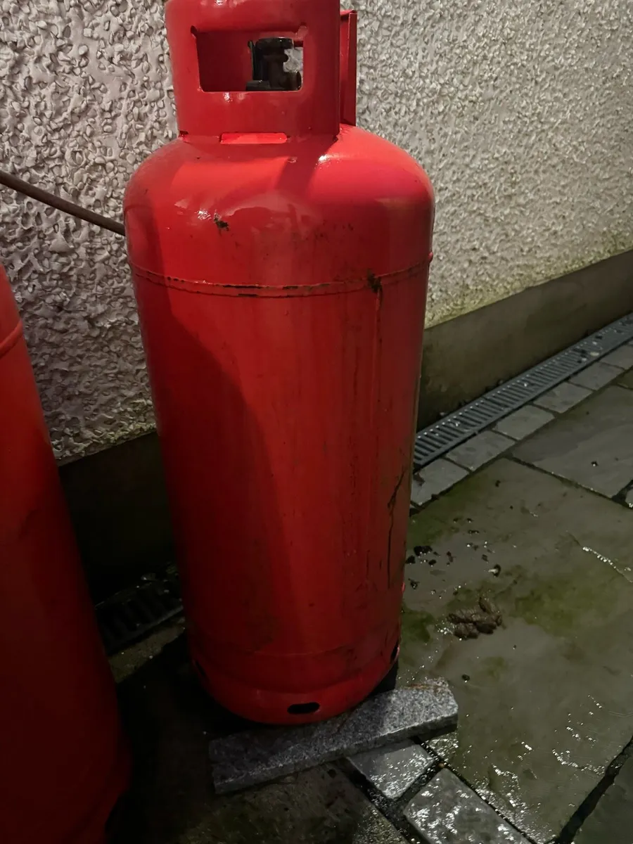 Large 47KG Gas Cylinder - Image 1