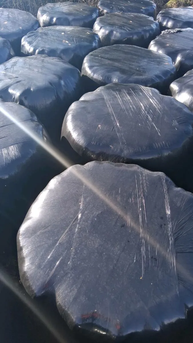 SILAGE BALES / HAYLAGE - Image 2