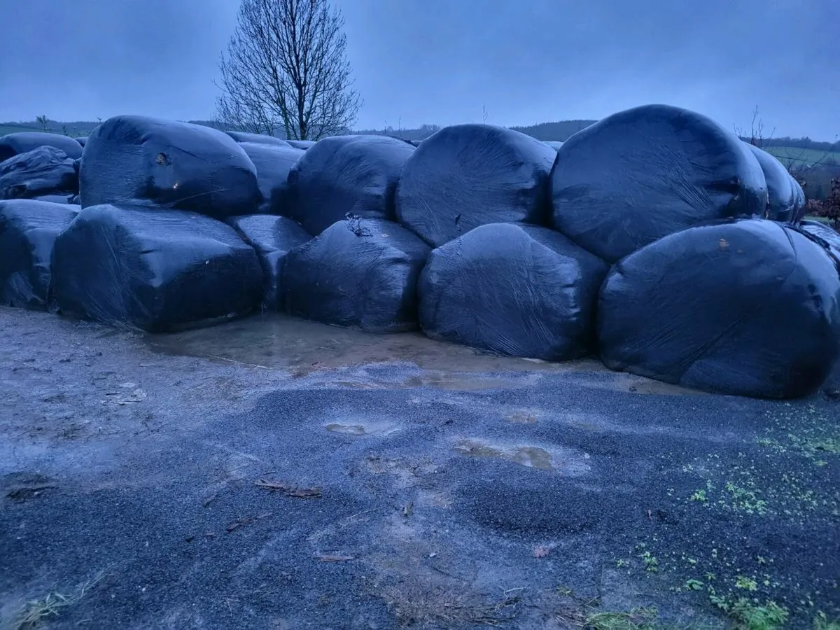 Silage bales - Image 1