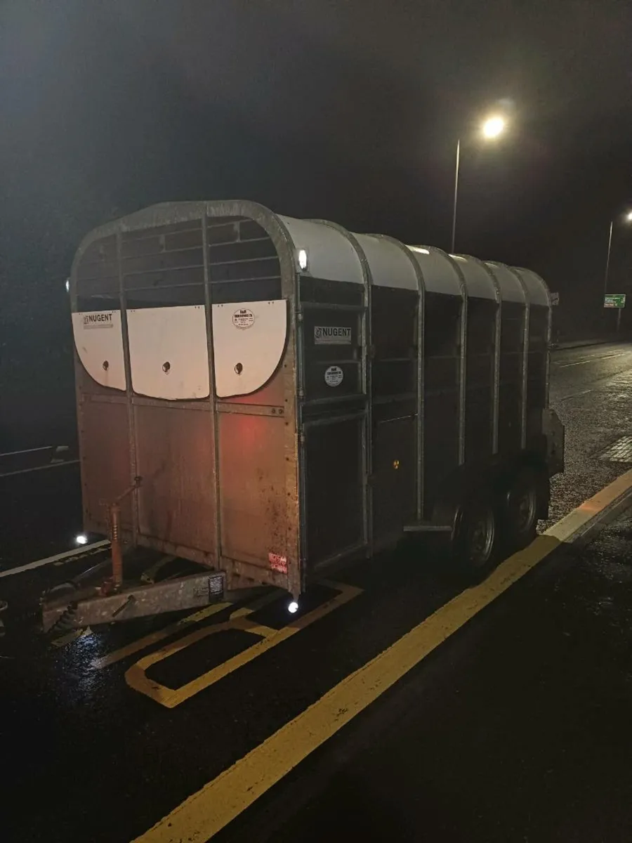 Nugent 12ft cattle trailer (year 2018) - Image 1