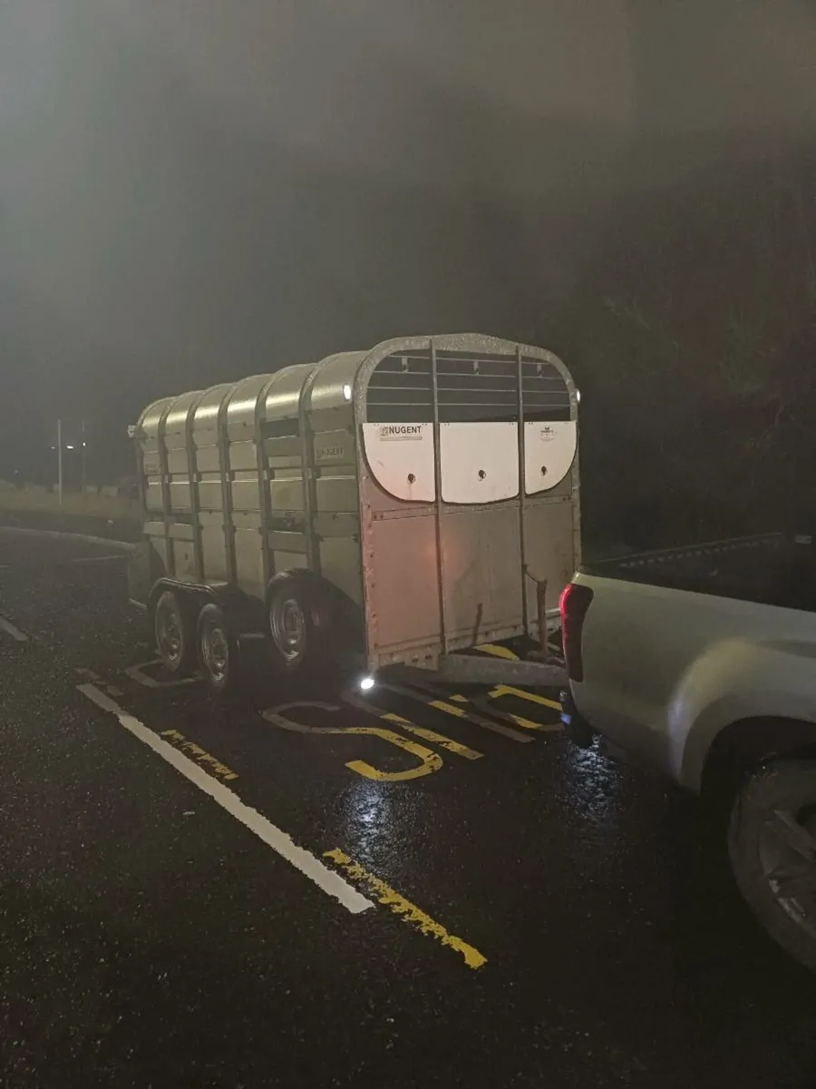Nugent 12ft cattle trailer (year 2018) - Image 2
