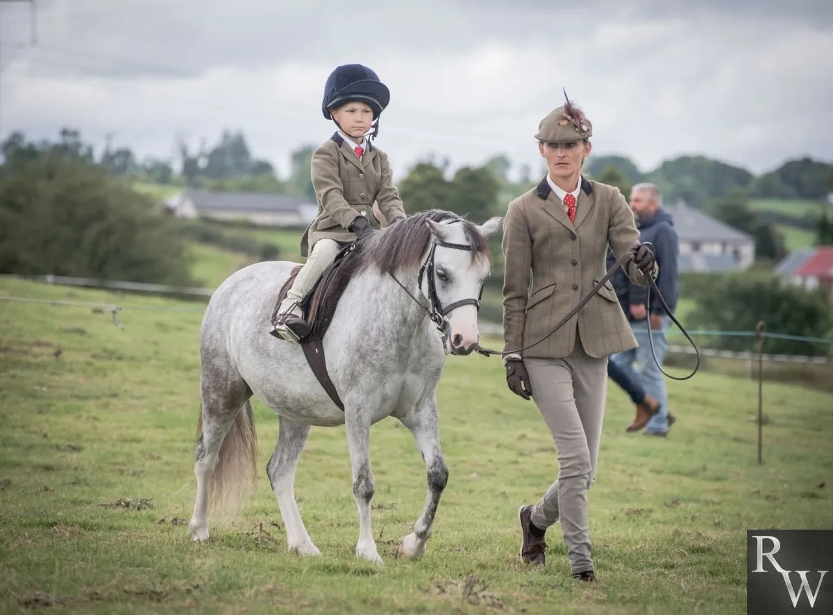 Cracking little pony - Image 3