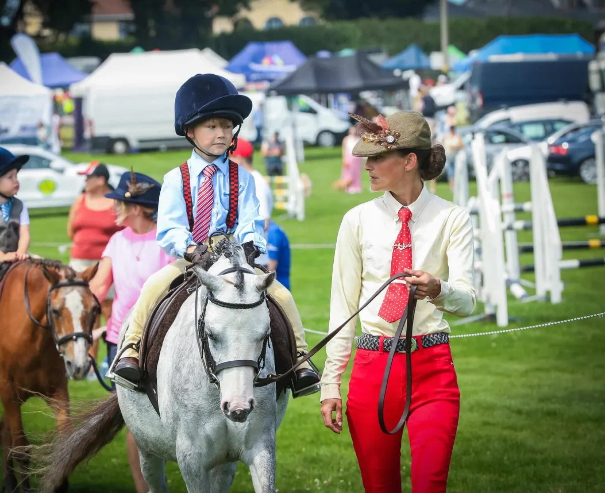 Cracking little pony - Image 4