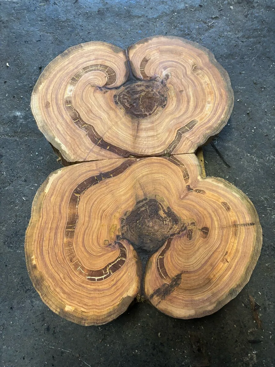 Bespoke Timber Tables, Bar Counters, Shelving - Image 1