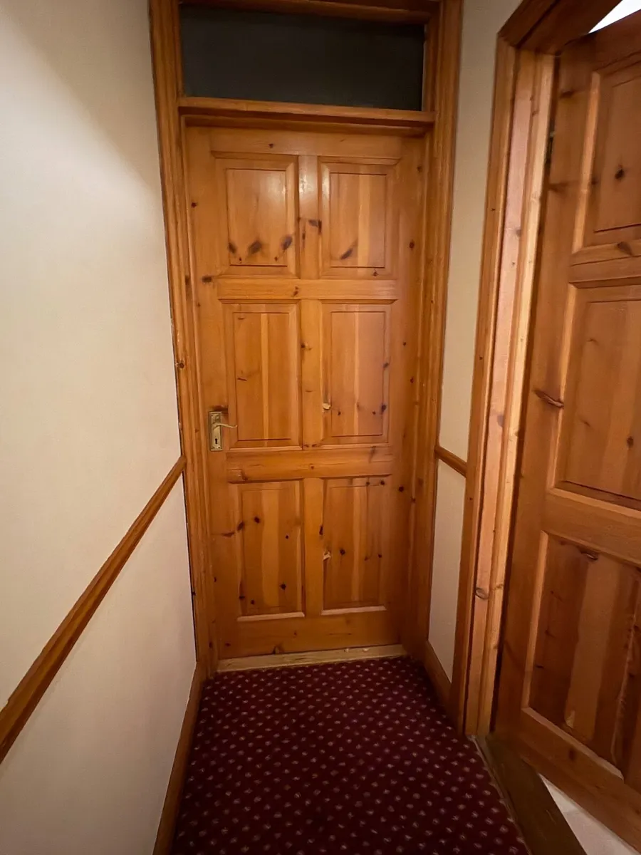 Internal doors - Image 1