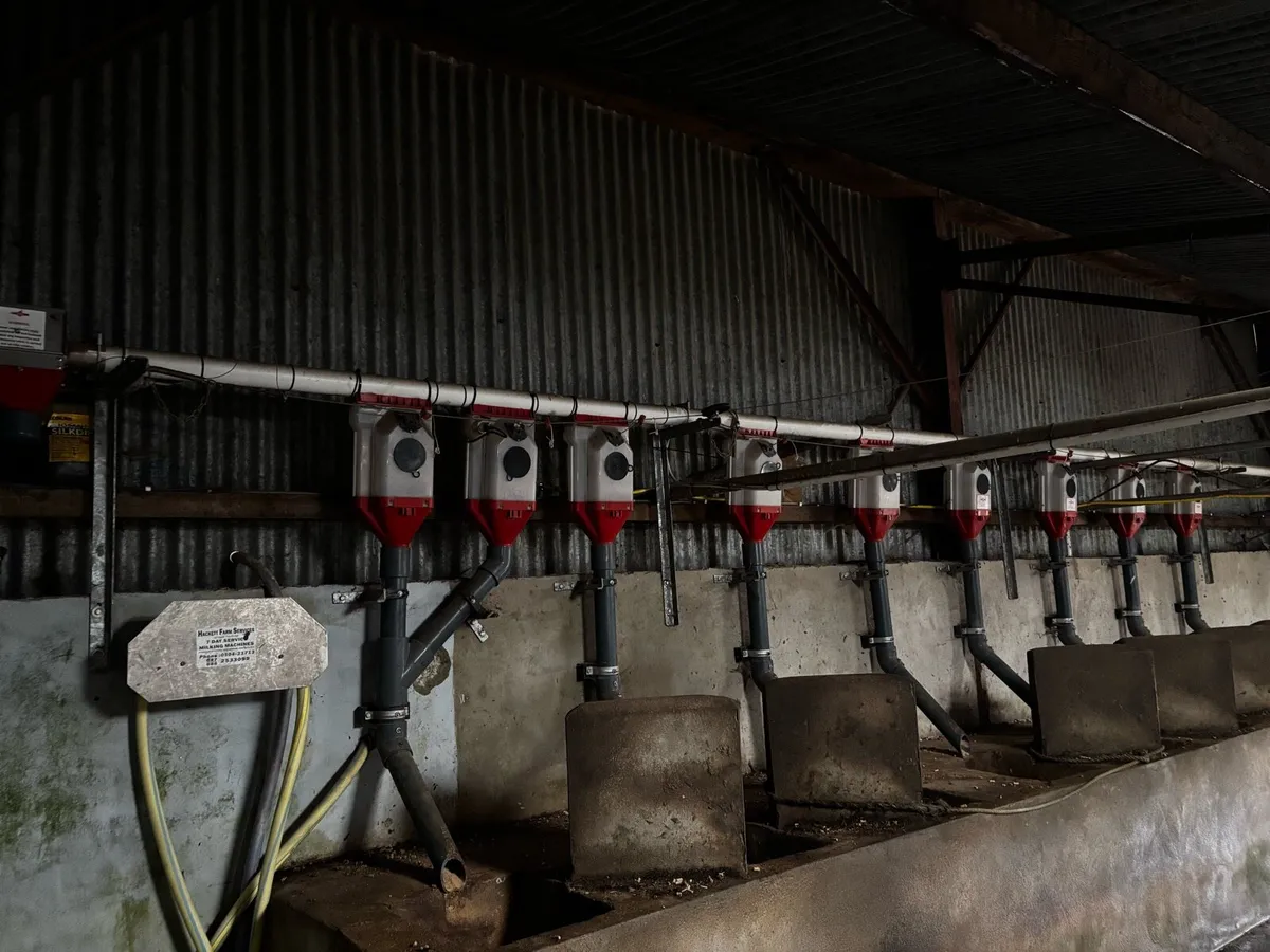 Meal augers - Image 4