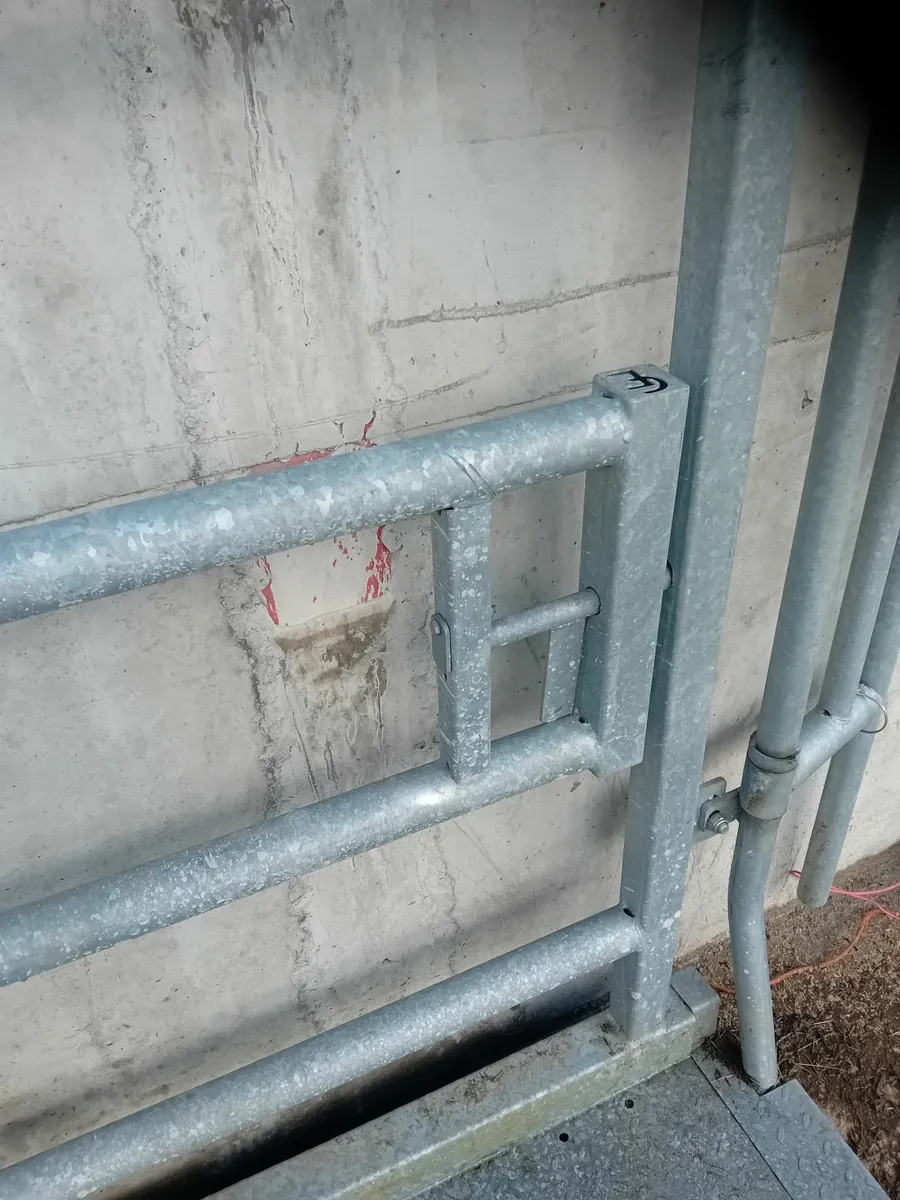 Mobile Crush - Image 2