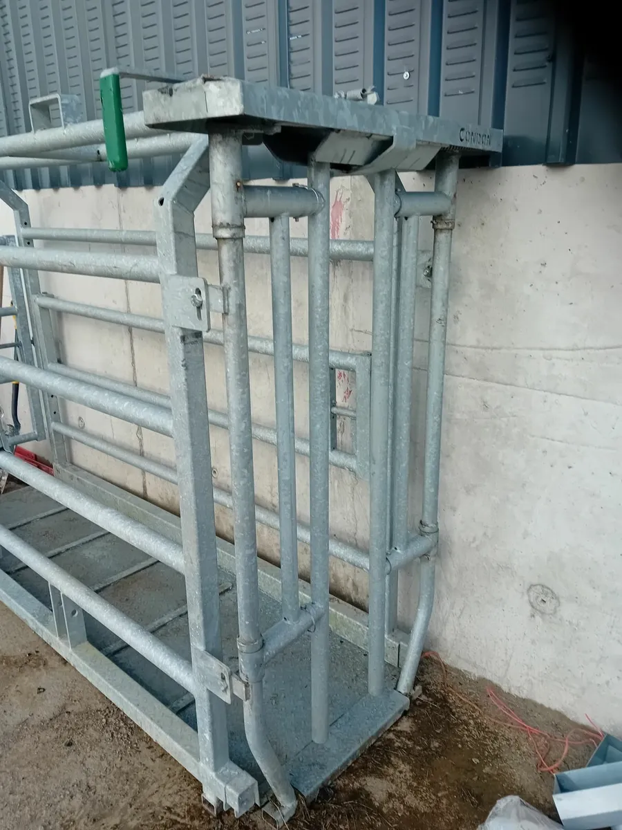 Mobile Crush - Image 1