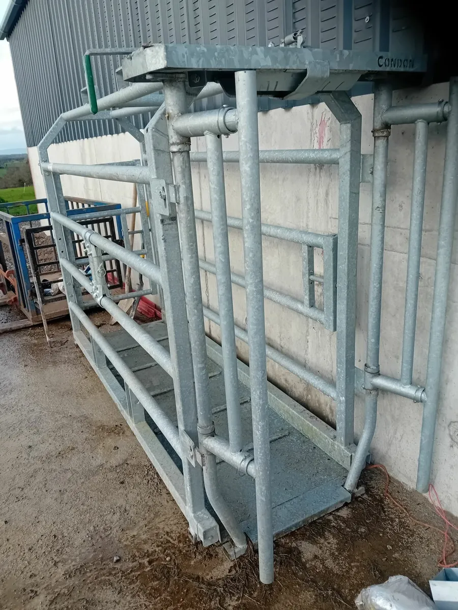 Mobile Crush - Image 4