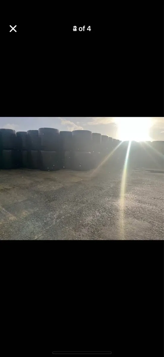 Silage bales - Image 4
