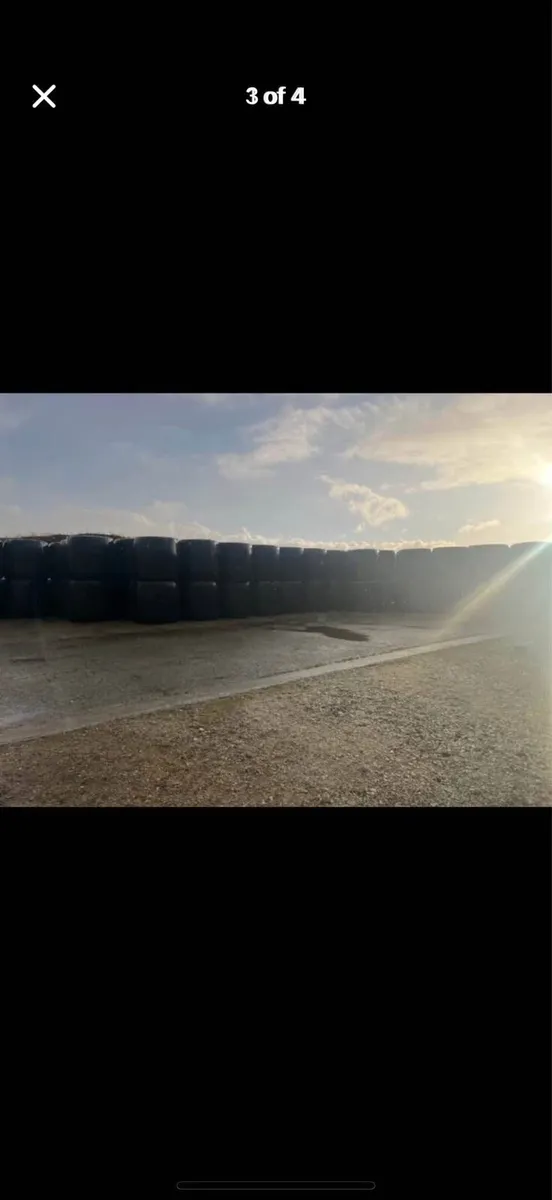 Silage bales - Image 3