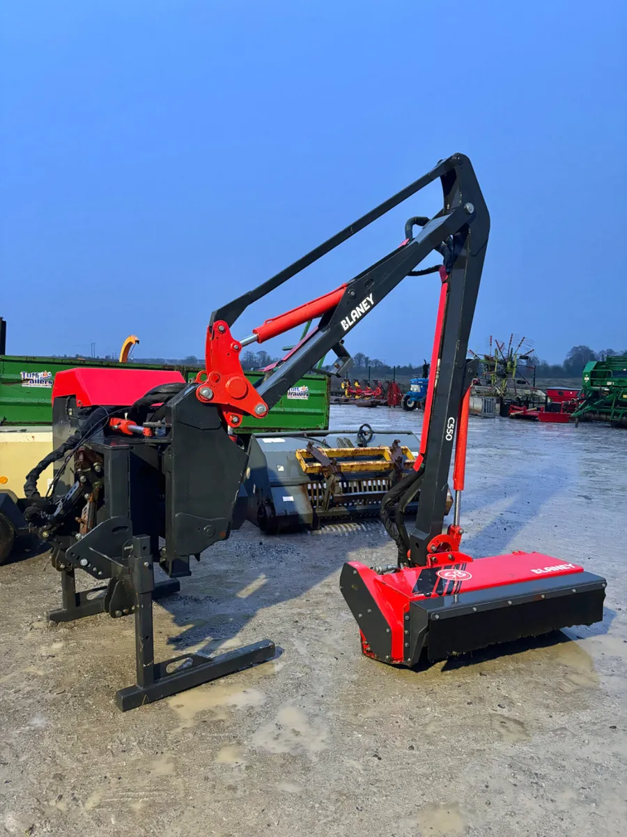 Portlaoise Auction Yard Full - Image 2