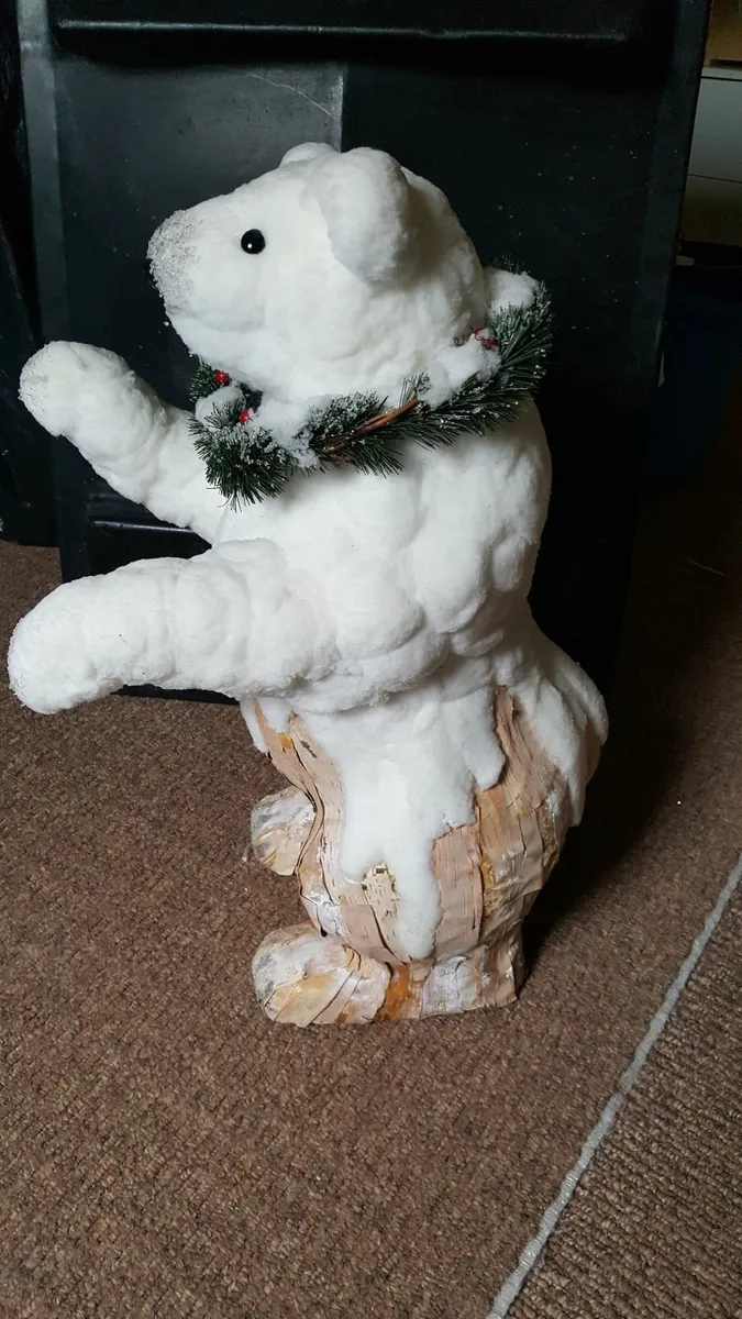 Polar Bears - Image 2