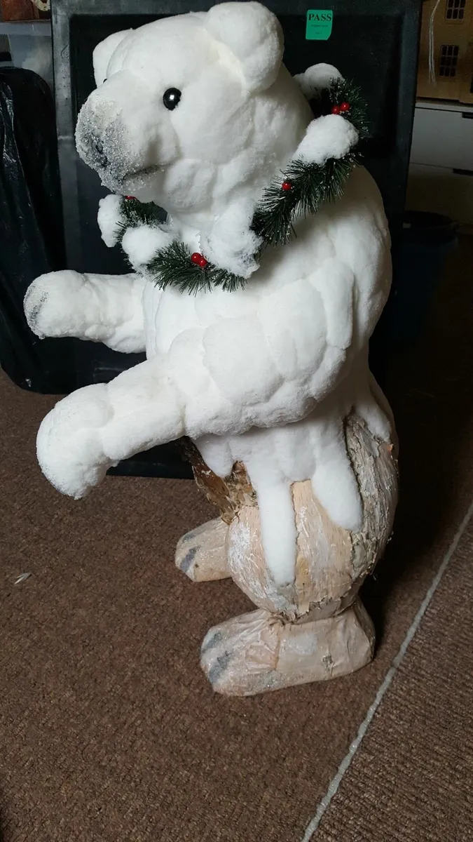 Polar Bears - Image 4