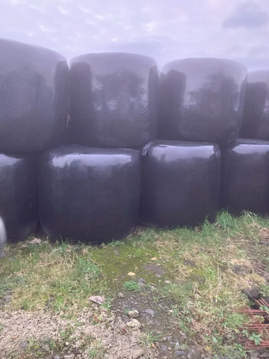 Silage bales