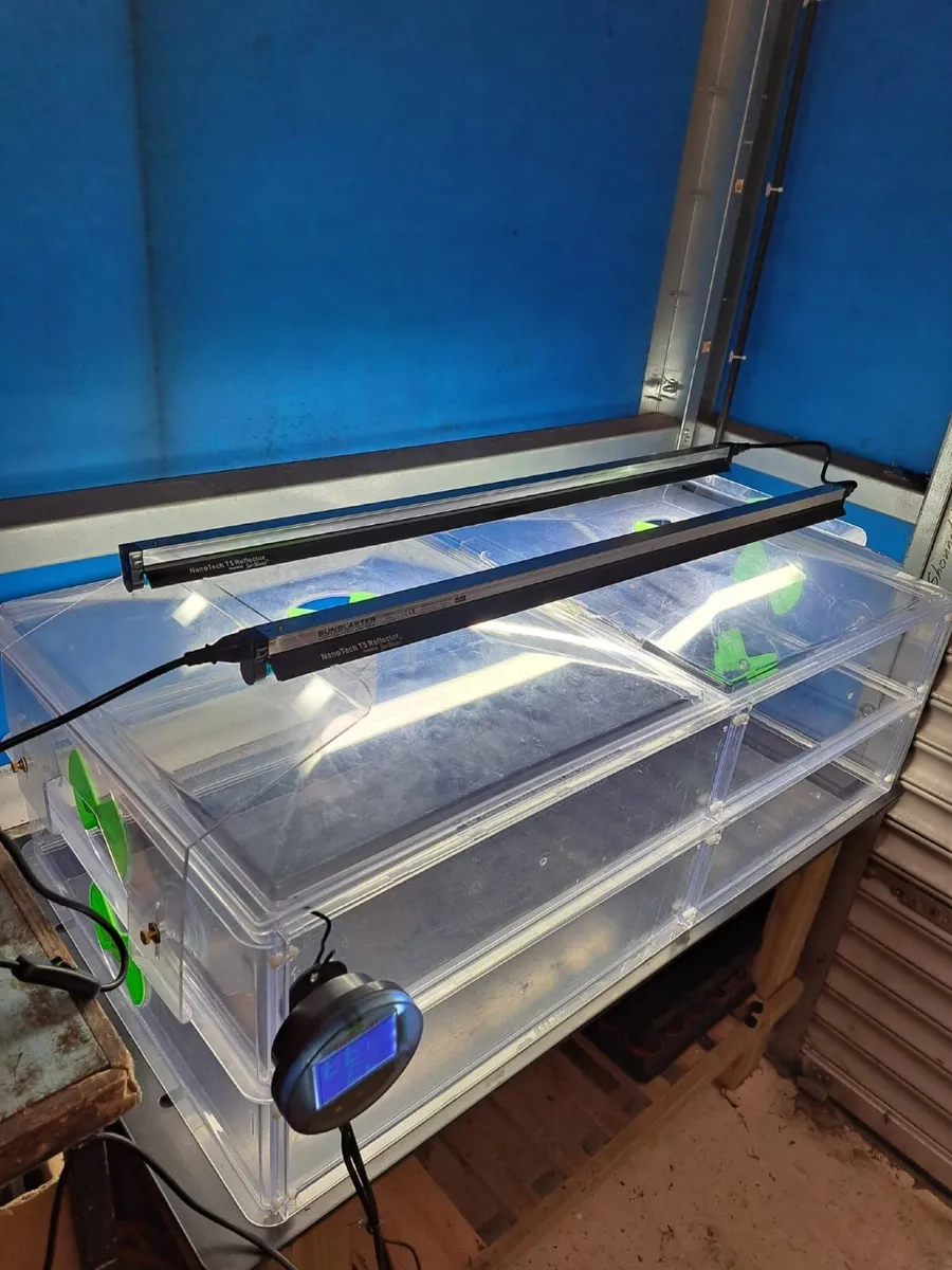 Vitopod Propogator Large DOUBLE Height - Image 4