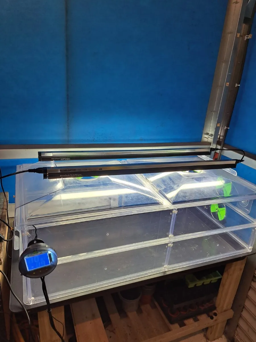 Vitopod Propogator Large DOUBLE Height - Image 3